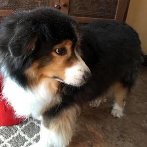 Meet your Posher, Colleen